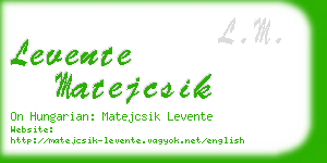 levente matejcsik business card